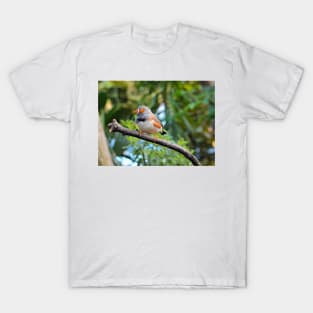 Zebra Finch T-Shirt